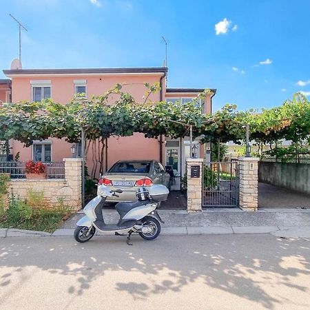 Stelia Apartment Novigrad  Exterior photo