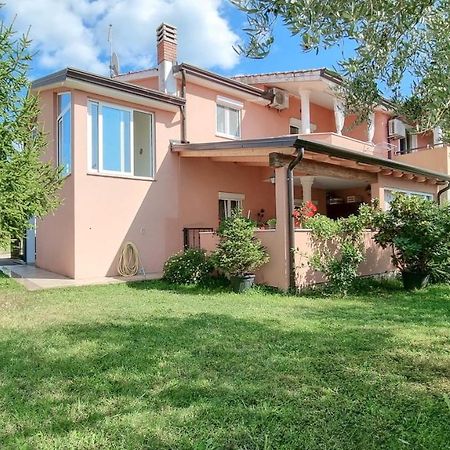 Stelia Apartment Novigrad  Exterior photo