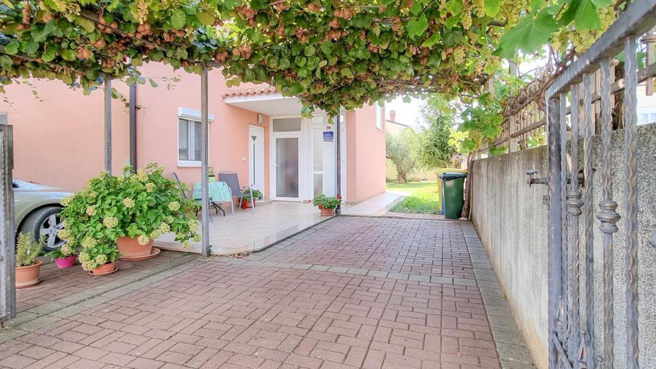 Stelia Apartment Novigrad  Exterior photo