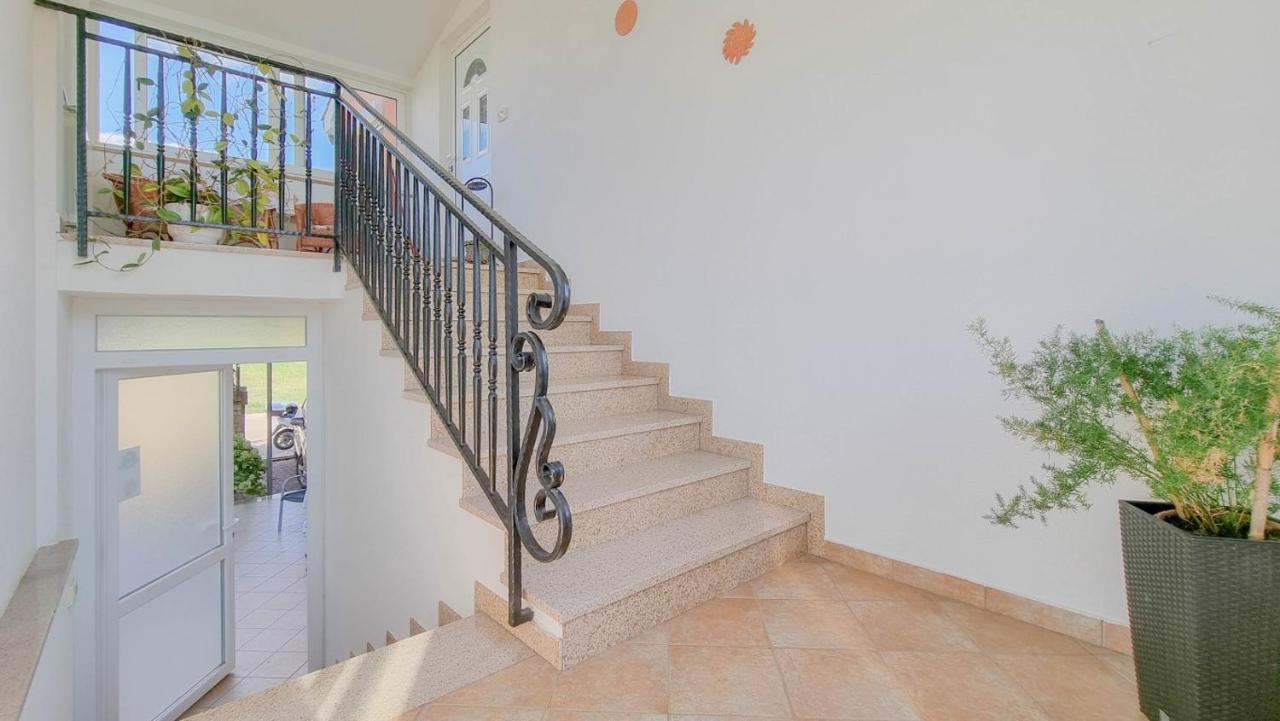 Stelia Apartment Novigrad  Exterior photo