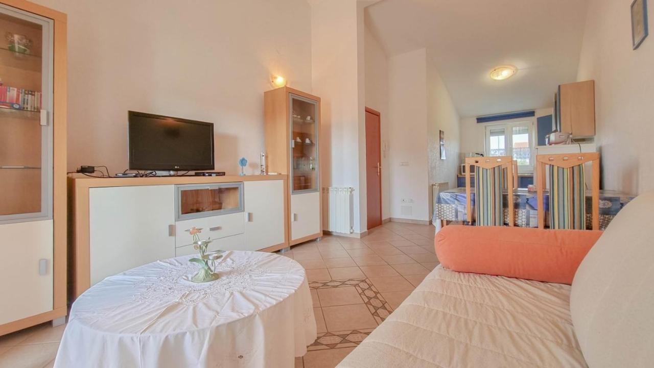 Stelia Apartment Novigrad  Exterior photo
